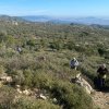 La Morella